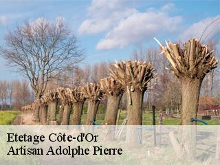 Etetage 21 Côte-d'Or  Artisan Adolphe Pierre