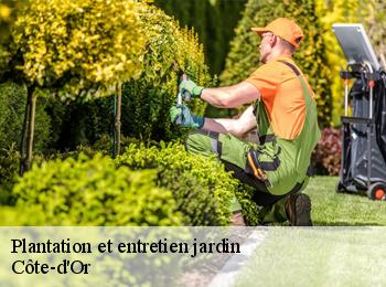 Plantation et entretien jardin Côte-d'Or 