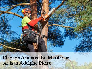 Elagage  asnieres-en-montagne-21500 ADEL Moise Élagueur