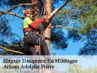 Elagage  dampierre-en-montagne-21350 Artisan Adolphe Pierre