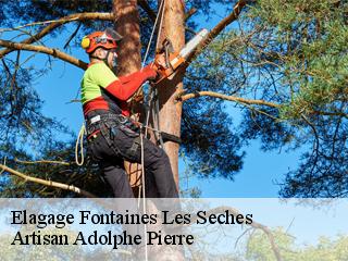 Elagage  fontaines-les-seches-21330 Artisan Adolphe Pierre