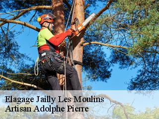Elagage  jailly-les-moulins-21150 Artisan Adolphe Pierre
