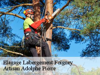 Elagage labergement-foigney-21110 ADEL Moise Élagueur