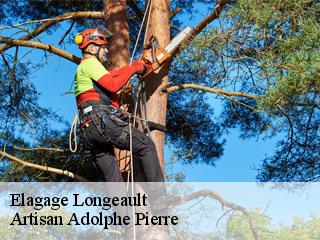 Elagage  longeault-21110 Artisan Adolphe Pierre