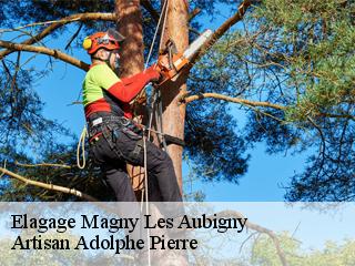 Elagage magny-les-aubigny-21170 ADEL Moise Élagueur