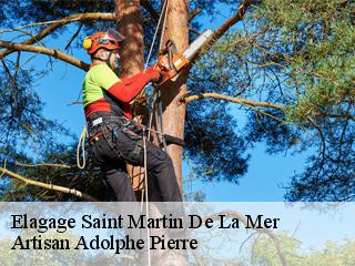 Elagage saint-martin-de-la-mer-21210 ADEL Moise Élagueur