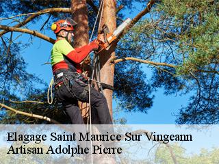 Elagage saint-maurice-sur-vingeann-21610 ADEL Moise Élagueur