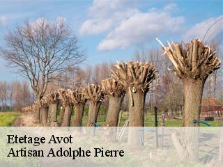 Etetage  avot-21580 Artisan Adolphe Pierre