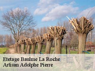 Etetage  baulme-la-roche-21410 Artisan Adolphe Pierre