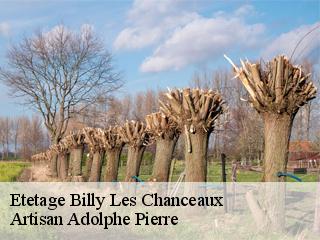 Etetage  billy-les-chanceaux-21450 Artisan Adolphe Pierre