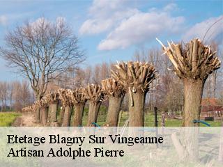 Etetage  blagny-sur-vingeanne-21310 Artisan Adolphe Pierre