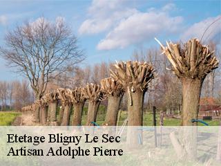 Etetage  bligny-le-sec-21440 Artisan Adolphe Pierre