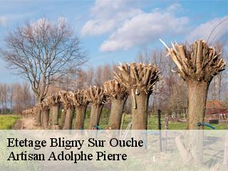 Etetage  bligny-sur-ouche-21360 Artisan Adolphe Pierre