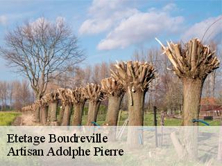 Etetage  boudreville-21520 Artisan Adolphe Pierre