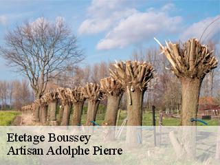 Etetage  boussey-21350 Artisan Adolphe Pierre