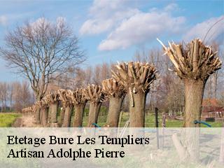 Etetage  bure-les-templiers-21290 Artisan Adolphe Pierre