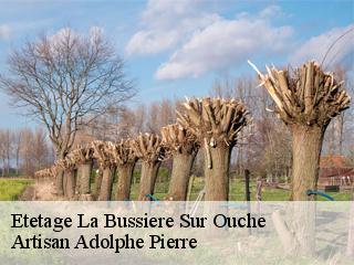 Etetage  la-bussiere-sur-ouche-21360 Artisan Adolphe Pierre