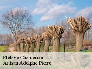 Etetage  chamesson-21400 Artisan Adolphe Pierre