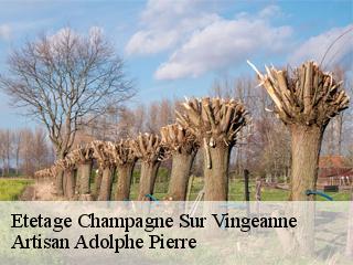 Etetage  champagne-sur-vingeanne-21310 Artisan Adolphe Pierre