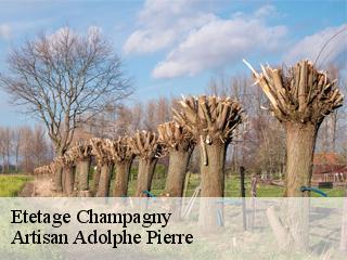 Etetage  champagny-21440 Artisan Adolphe Pierre