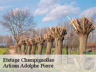 Etetage  champignolles-21230 Artisan Adolphe Pierre