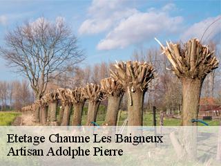 Etetage  chaume-les-baigneux-21450 Artisan Adolphe Pierre