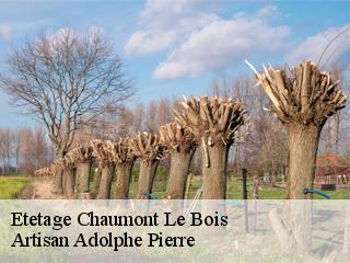 Etetage  chaumont-le-bois-21400 Artisan Adolphe Pierre