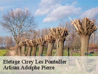 Etetage  cirey-les-pontailler-21270 Artisan Adolphe Pierre