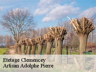 Etetage  clemencey-21220 Artisan Adolphe Pierre