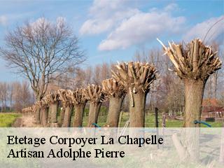 Etetage  corpoyer-la-chapelle-21150 Artisan Adolphe Pierre