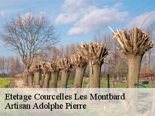 Etetage  courcelles-les-montbard-21500 Artisan Adolphe Pierre