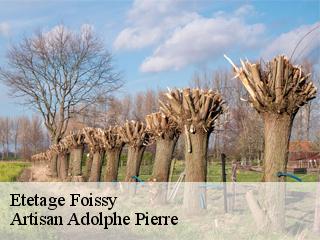 Etetage  foissy-21230 Artisan Adolphe Pierre