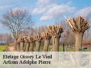 Etetage gissey-le-vieil-21350 Artisan Adolphe Pierre