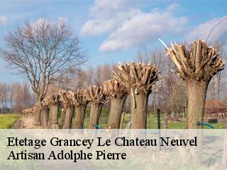Etetage  grancey-le-chateau-neuvel-21580 Artisan Adolphe Pierre