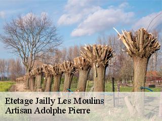 Etetage jailly-les-moulins-21150 Artisan Adolphe Pierre