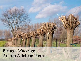 Etetage  maconge-21320 Artisan Adolphe Pierre