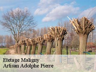 Etetage  maligny-21230 Artisan Adolphe Pierre