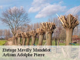 Etetage  mavilly-mandelot-21190 Artisan Adolphe Pierre