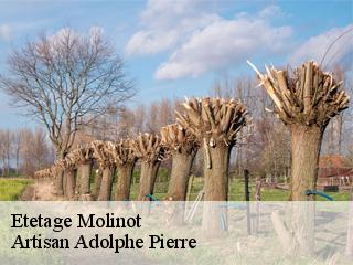 Etetage molinot-21340 Artisan Adolphe Pierre