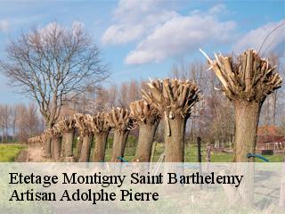 Etetage  montigny-saint-barthelemy-21390 Artisan Adolphe Pierre