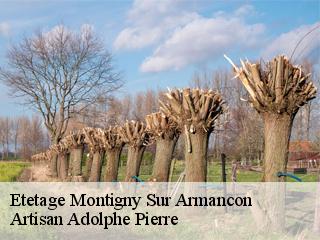 Etetage  montigny-sur-armancon-21140 Artisan Adolphe Pierre