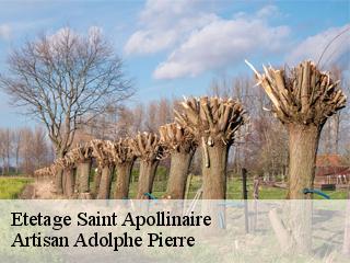 Etetage saint-apollinaire-21850 Artisan Adolphe Pierre