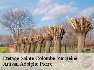 Etetage  sainte-colombe-sur-seine-21400 Artisan Adolphe Pierre