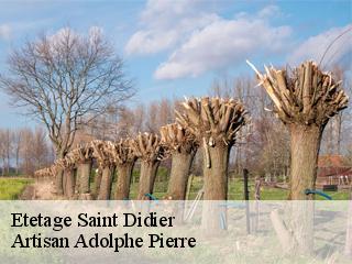 Etetage  saint-didier-21210 Artisan Adolphe Pierre