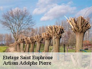Etetage  saint-euphrone-21140 Artisan Adolphe Pierre