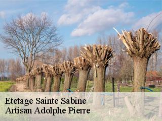 Etetage  sainte-sabine-21320 Artisan Adolphe Pierre
