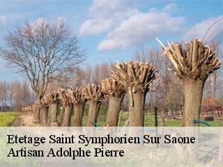 Etetage  saint-symphorien-sur-saone-21170 Artisan Adolphe Pierre