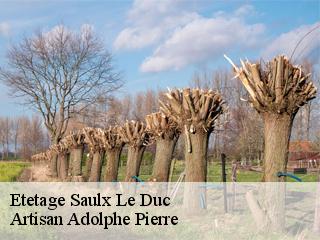 Etetage  saulx-le-duc-21120 Artisan Adolphe Pierre