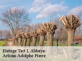 Etetage  tart-l-abbaye-21110 Artisan Adolphe Pierre