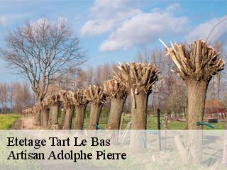 Etetage  tart-le-bas-21110 Artisan Adolphe Pierre